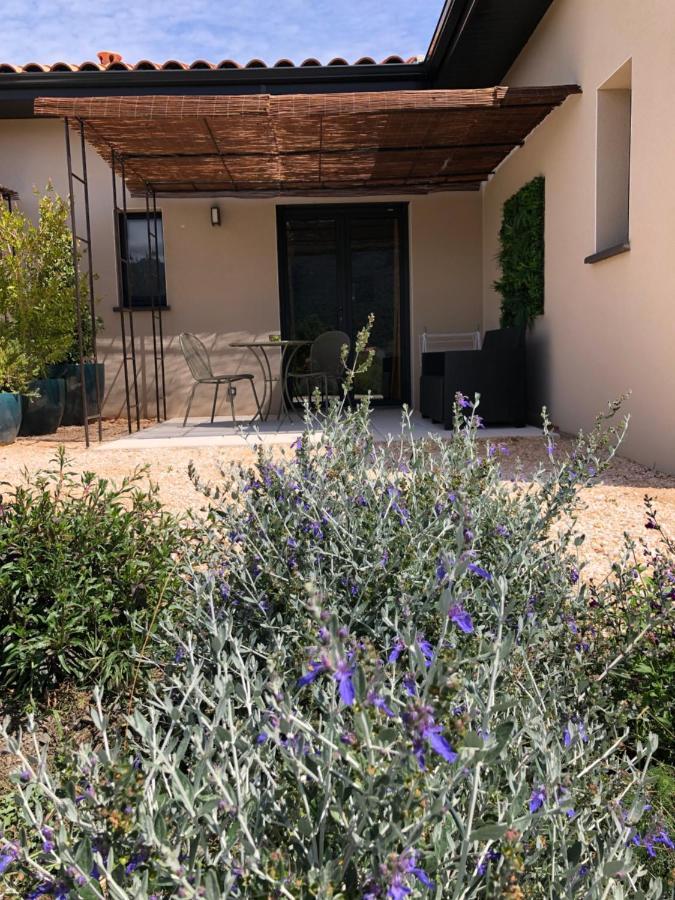 Bed and Breakfast Domaine Mas Terra Saint-Paul-de-Fenouillet Exterior foto